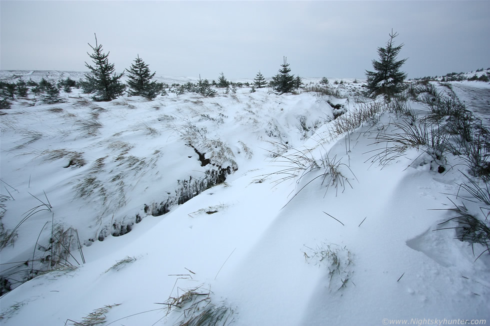 Glenshane Forest Snow