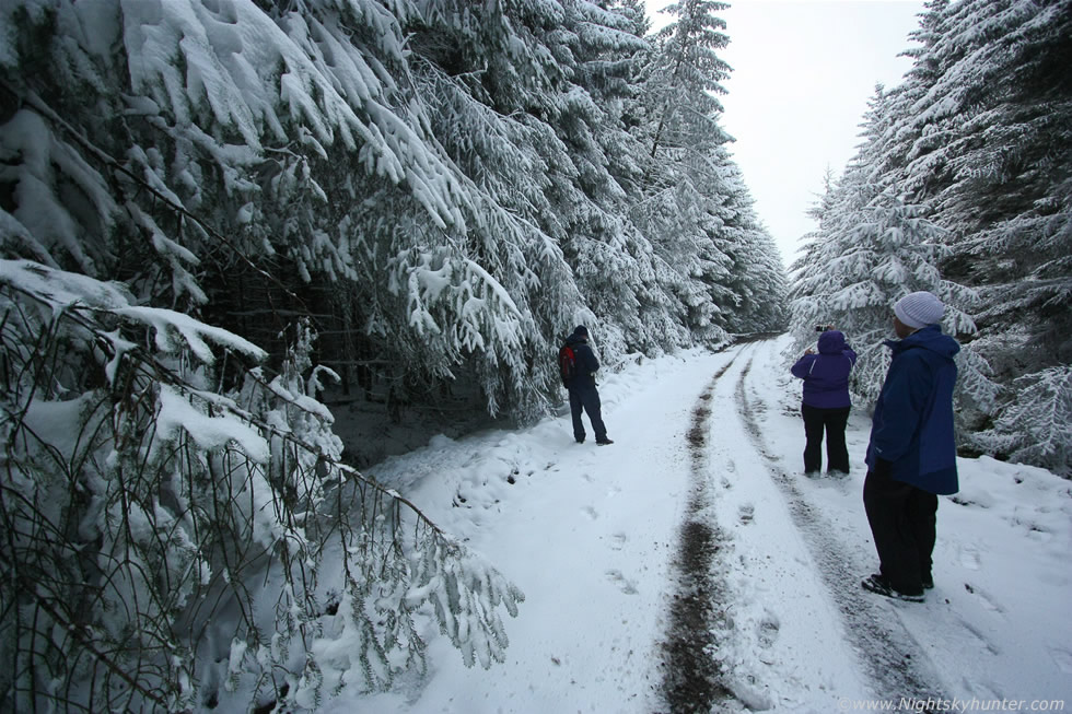 Glenshane Forest Snow