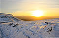 Snow Landscape