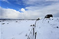 Snow Landscape