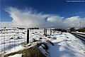 Snow Landscape